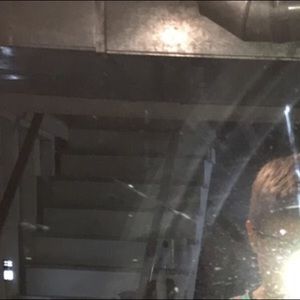 Meet your Posher, Gavin